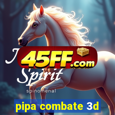 pipa combate 3d